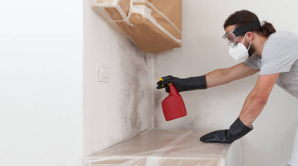 Professional Bathroom Mold Removal technician working in Woodland, WA